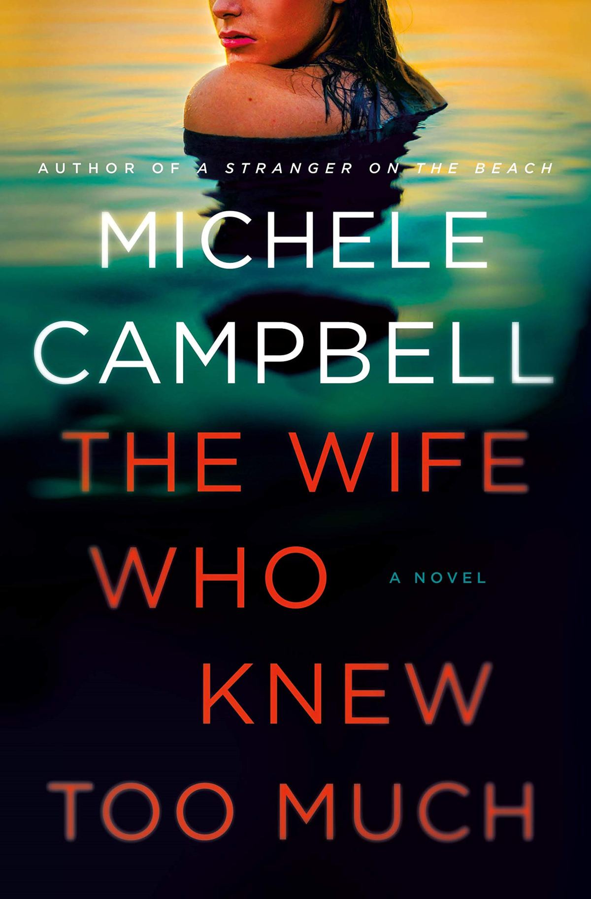 Book 10 – The Wife Who Knew Too Much by Michele Campbell