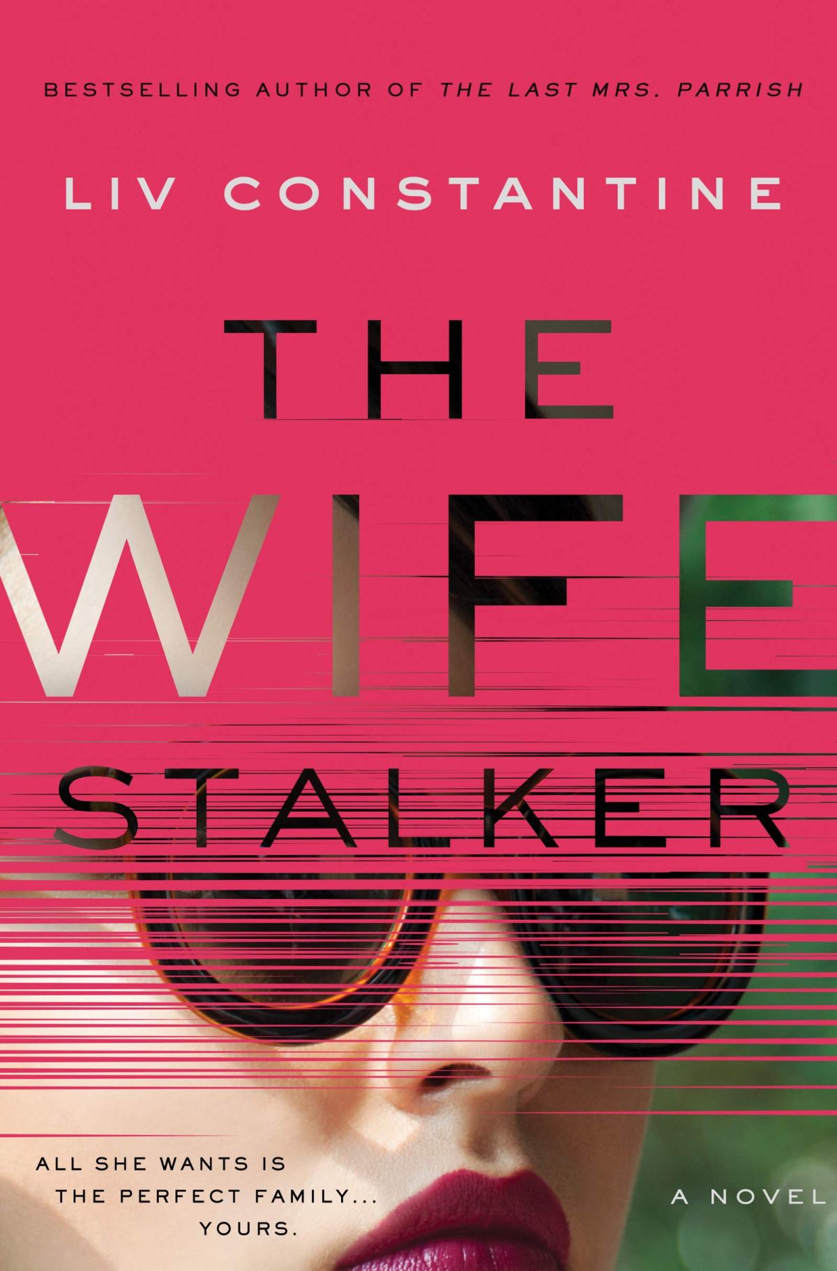 Book 14 – The Wife Stalker by Liv Constantine