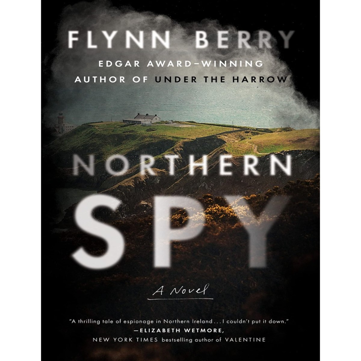 Book 153 – Northern Spy by Flynn Berry