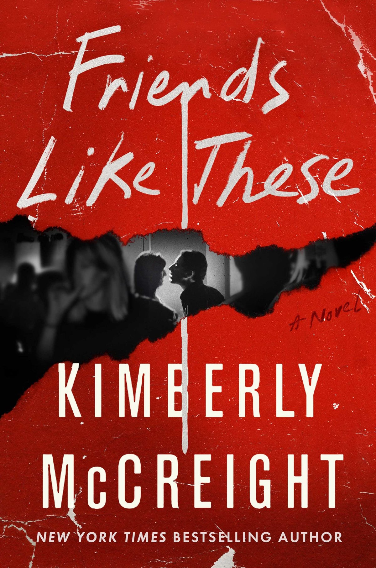 Book 164 – Friends Like These by Kimberly McCreight